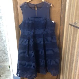 Torrid Navy Blue Midi Dress